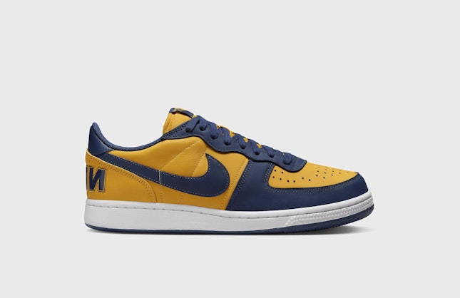 Nike Terminator Low "Michigan"
