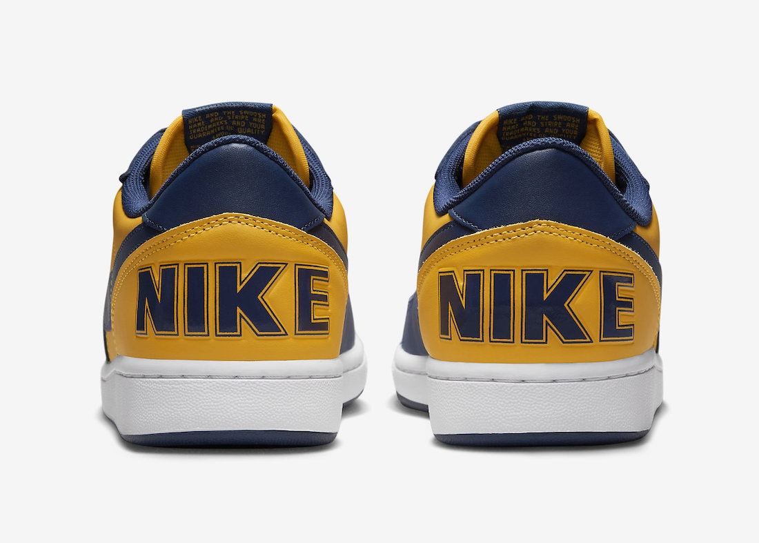 Nike Terminator Low "Michigan"