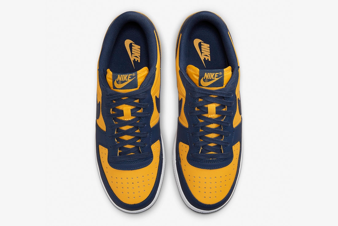 Nike Terminator Low "Michigan"