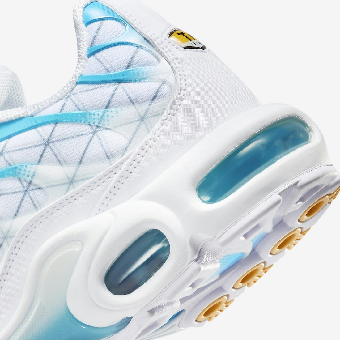 Nike Air Max Plus "Marseille"