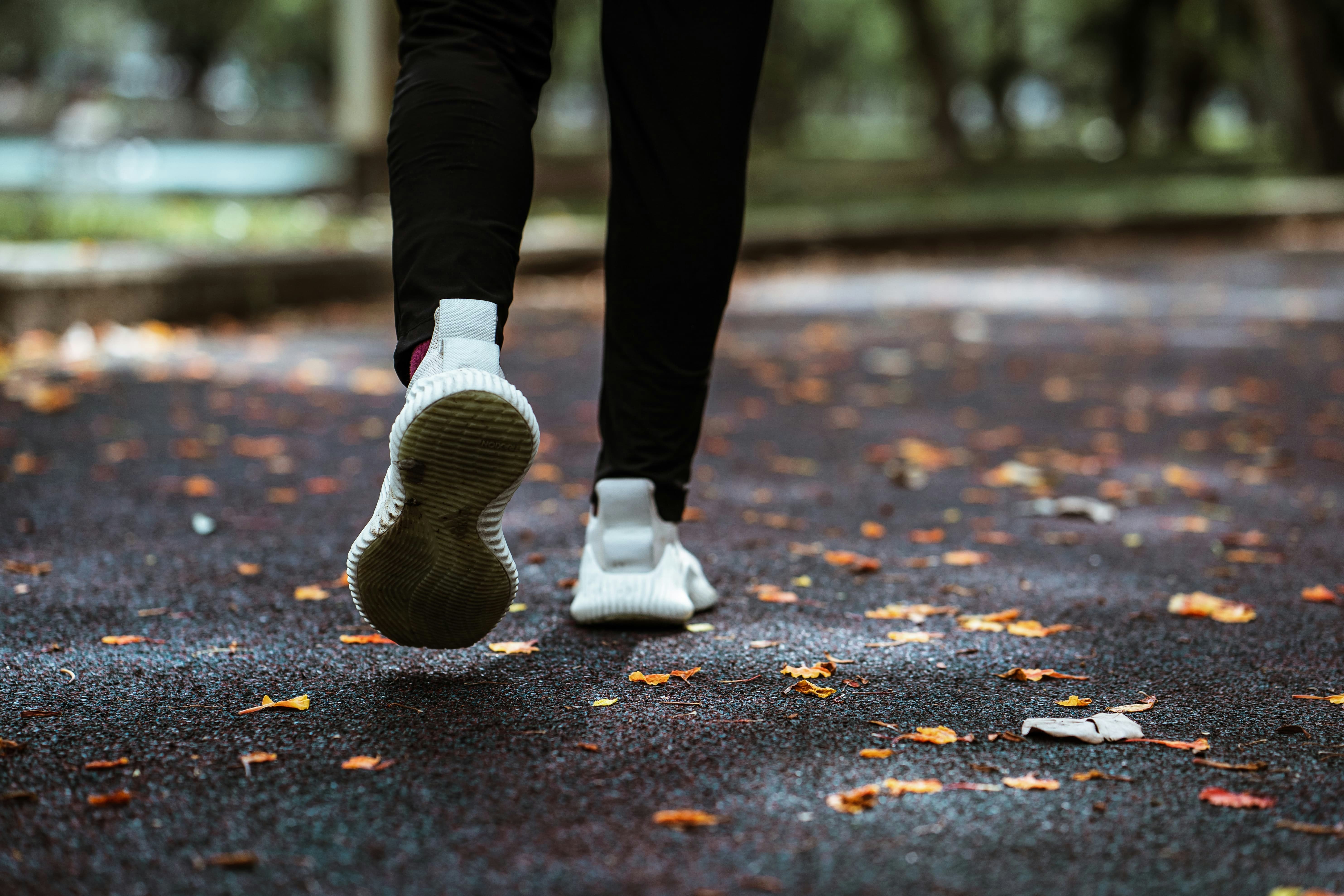 Herbst Sneaker Trends 2023!