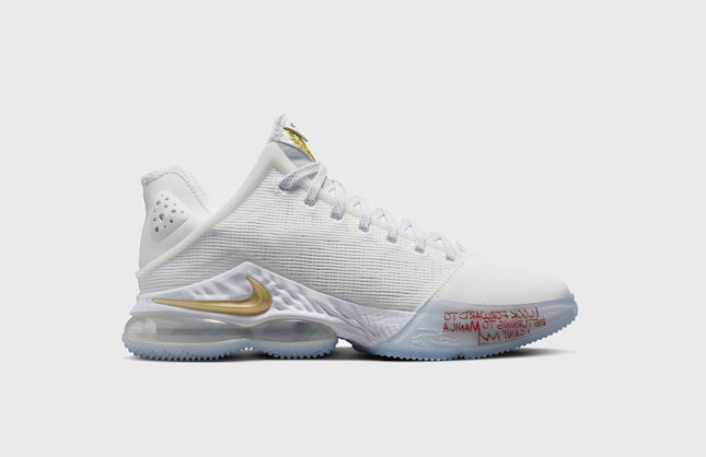 Titan x Nike LeBron 19 Low "Beyond The Seas"
