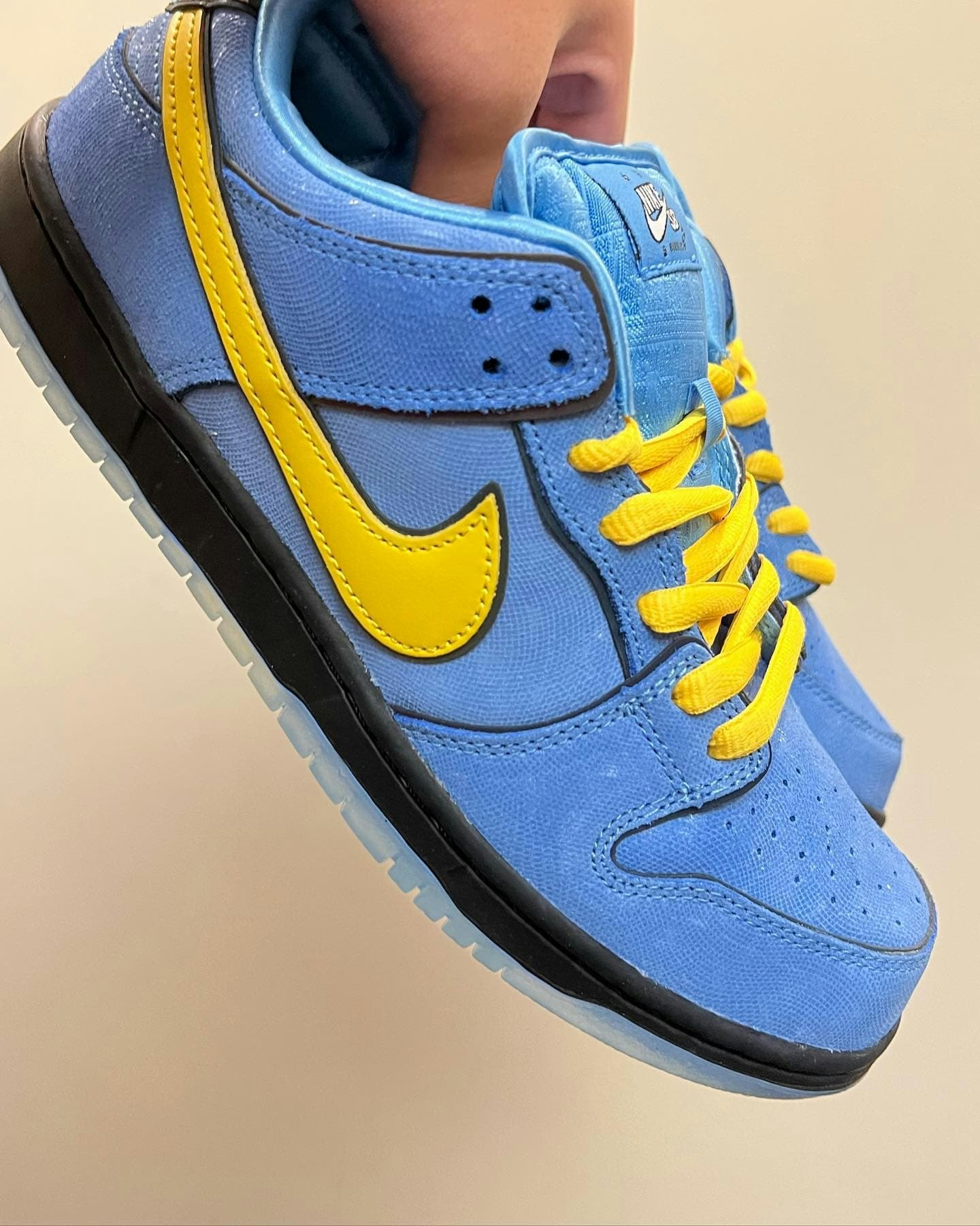 The Powerpuff Girls x Nike SB Dunk Low