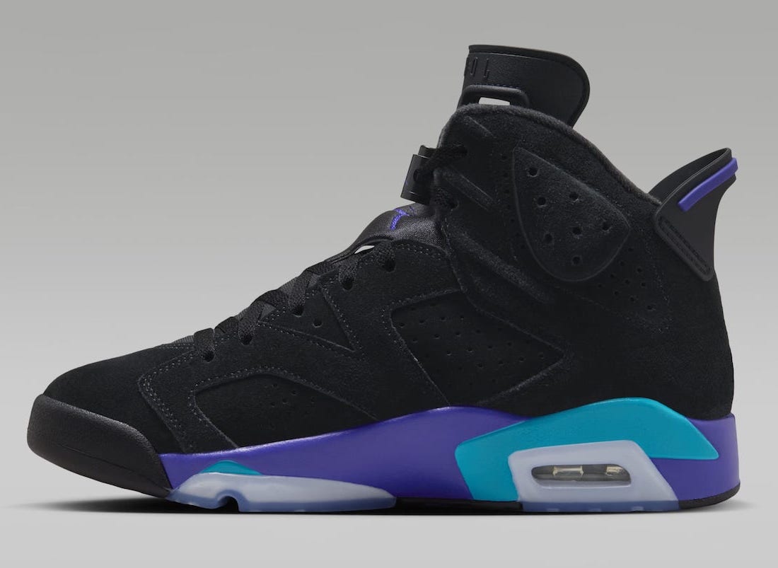 Black and purple jordan 6s outlet