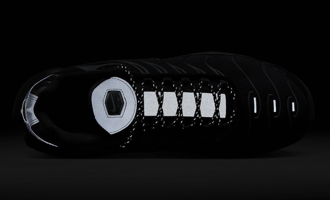 Nike Air Max Plus "Black Gum"