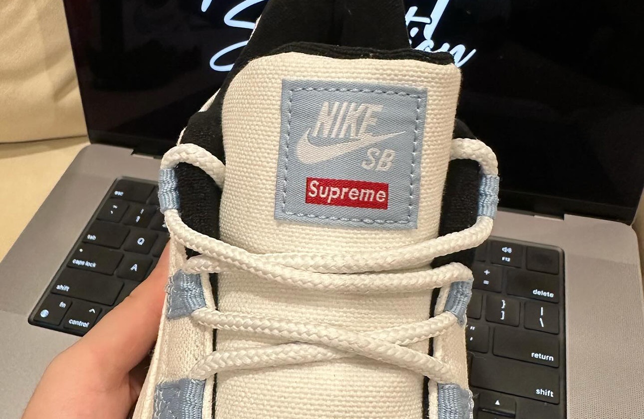 Supreme x Nike SB Darwin Low