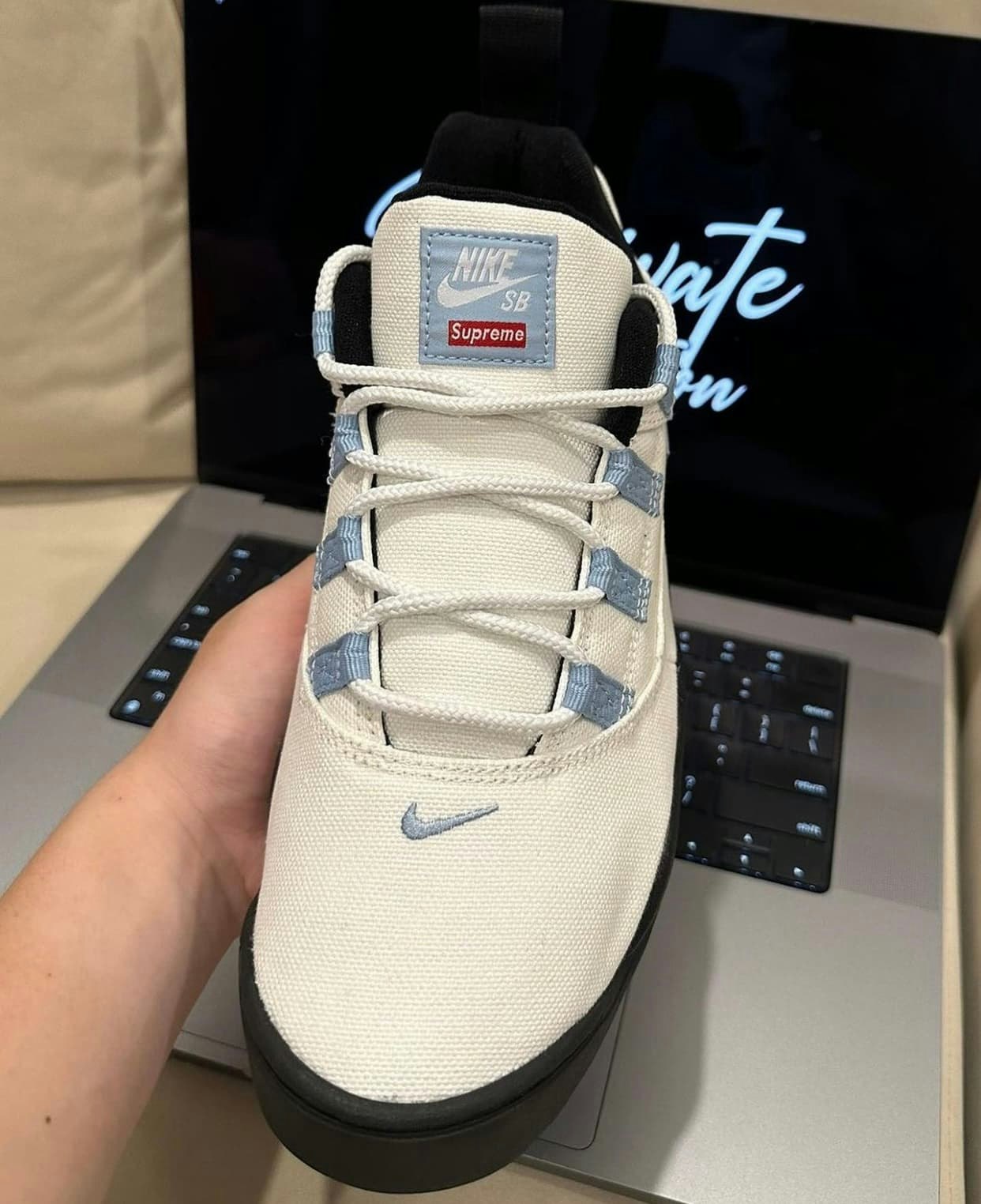 Supreme x Nike SB Darwin Low 