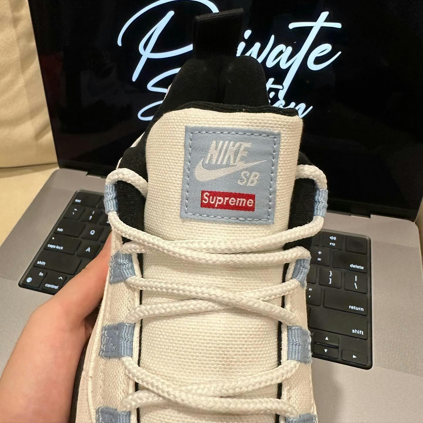 Supreme x Nike SB Darwin Low 