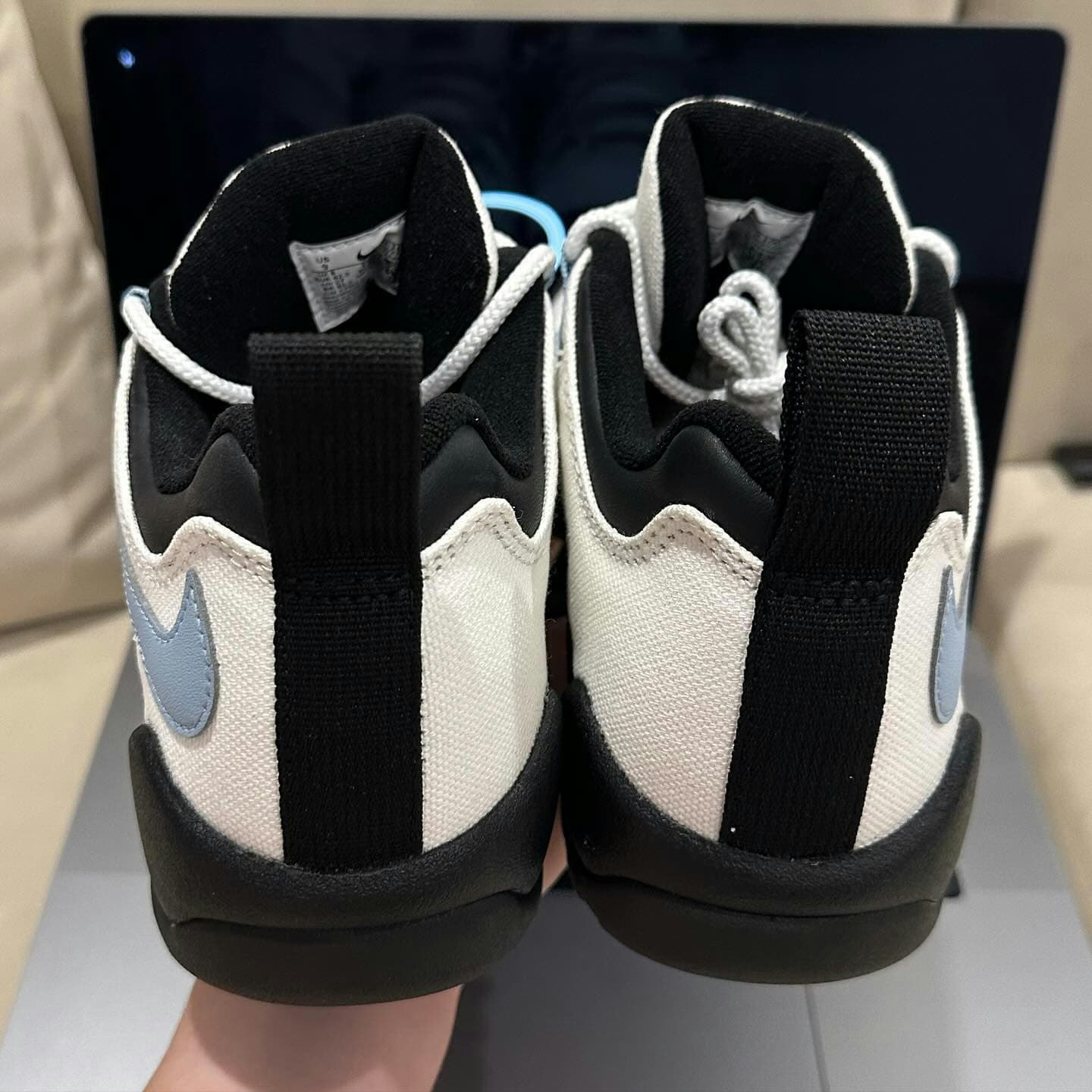 Supreme x Nike SB Darwin Low 
