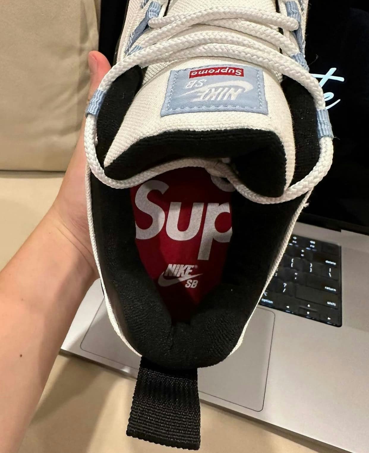 Supreme x Nike SB Darwin Low 