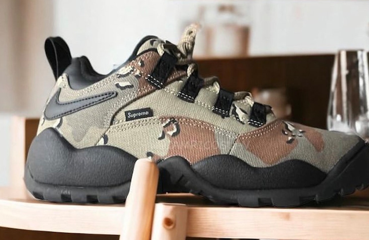 Supreme x Nike SB Darwin Low