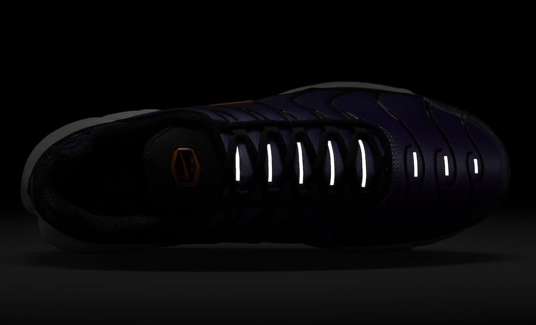 Nike Air Max Plus "Voltage Purple"