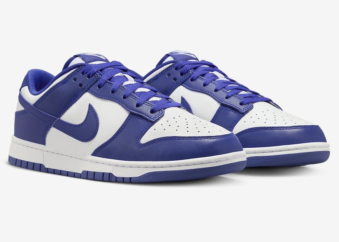 Nike Dunk Low Retro "Concord"