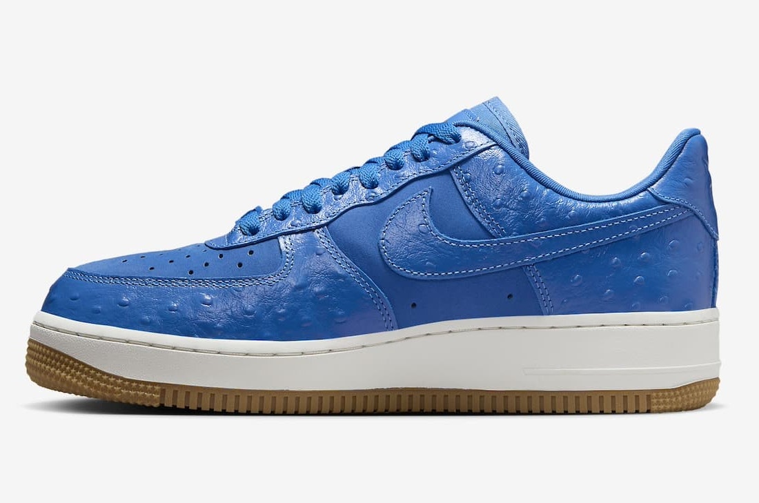 Nike Air Force 1 Low "Blue Ostrich"