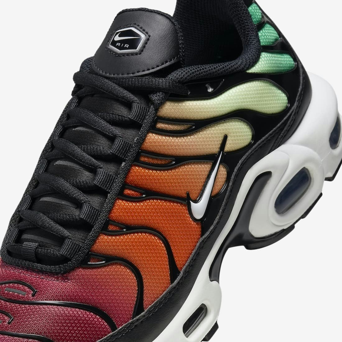 Nike Air Max Plus "Rainbow"