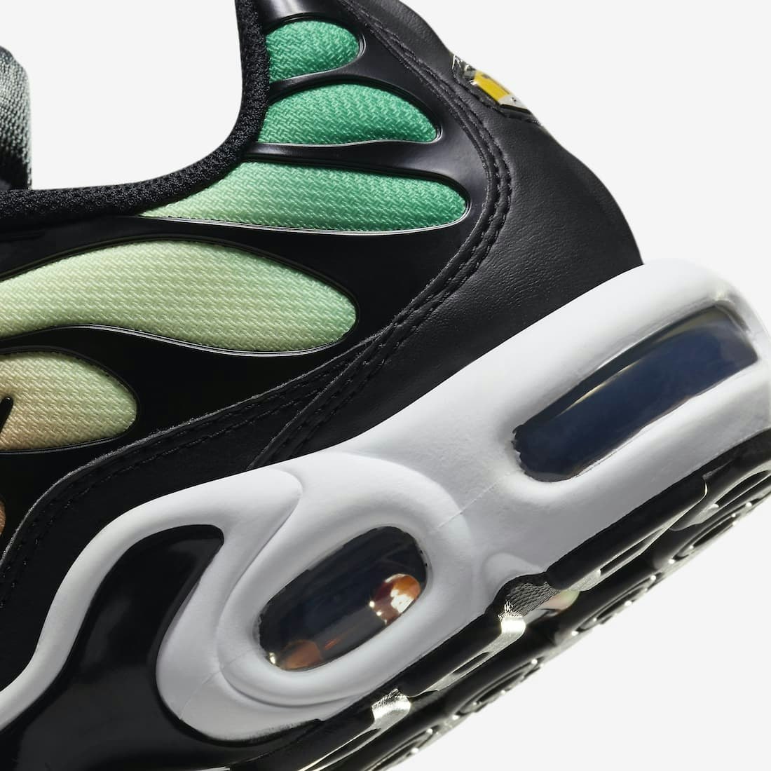 Nike Air Max Plus "Rainbow"