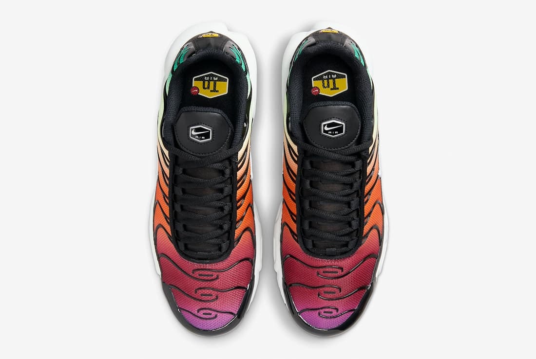Nike Air Max Plus "Rainbow"