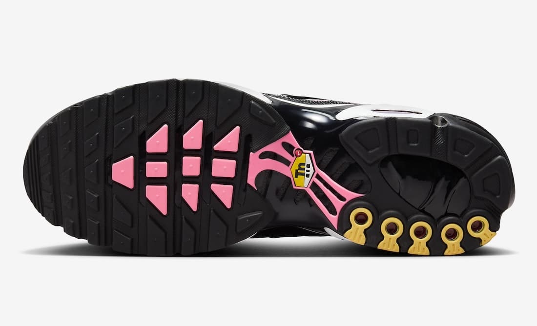 Nike Air Max Plus "All Day"