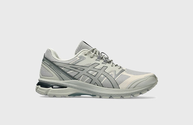 Asics Gel-Terrain "Seal Grey"