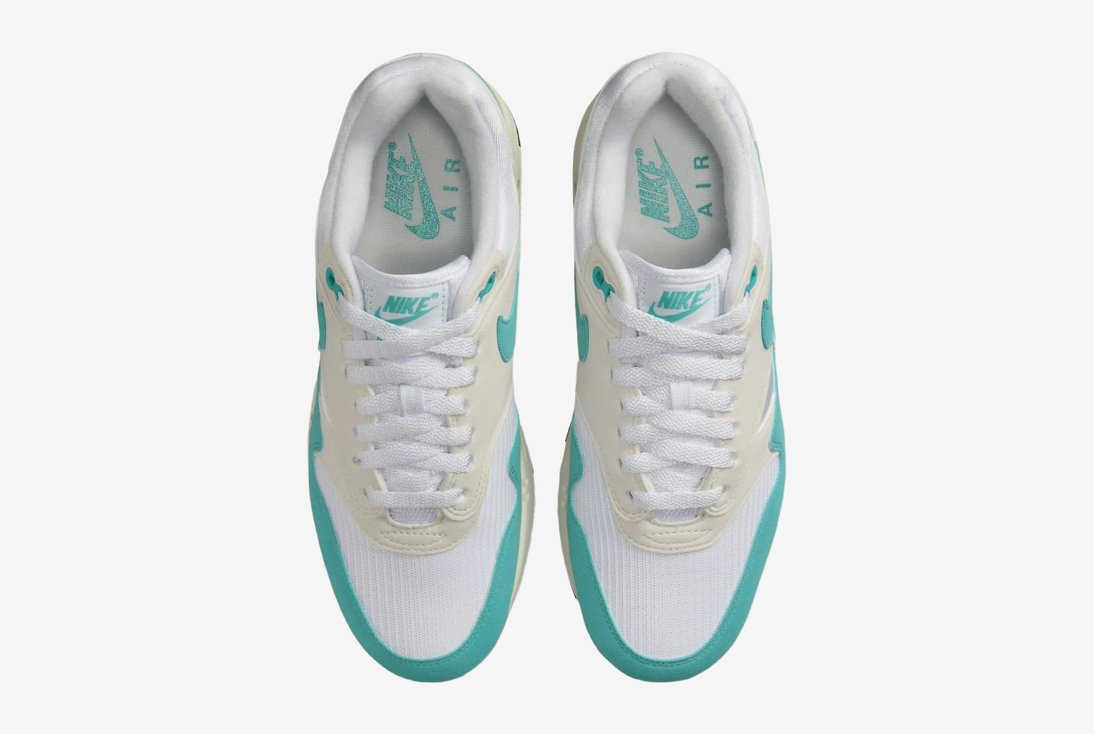 Nike Air Max 1 "Dusty Cactus"