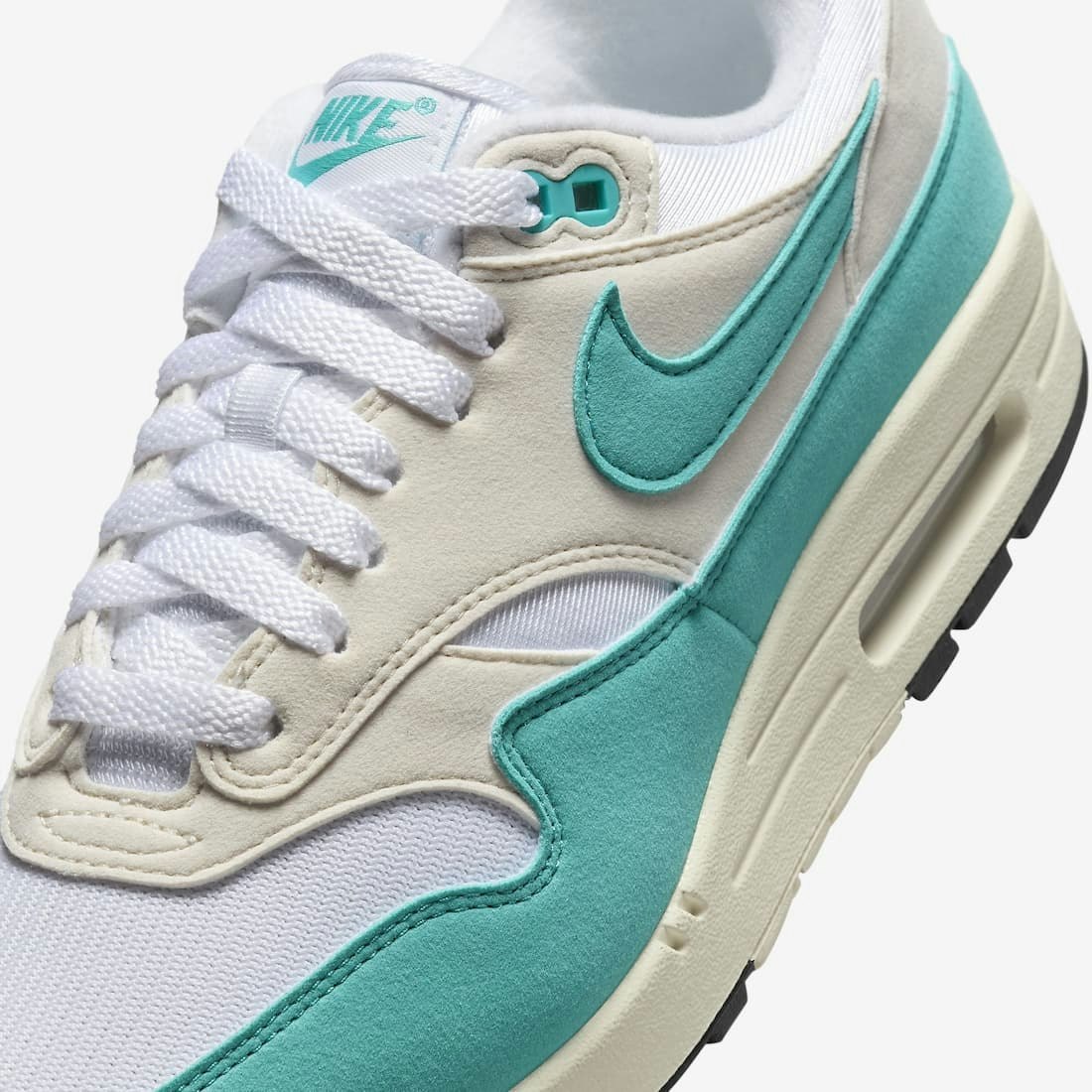 Nike Air Max 1 "Dusty Cactus"