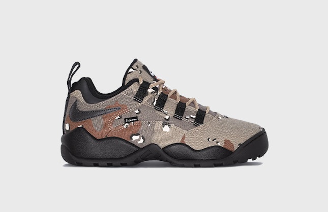 Supreme x Nike SB Darwin Low "Desert Camo"