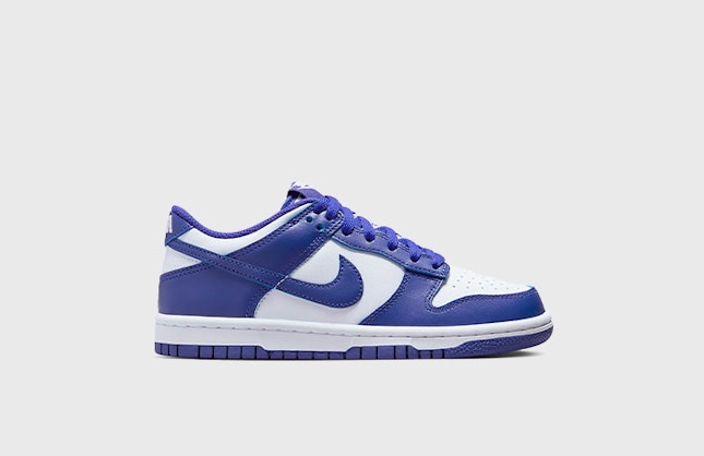 Nike Dunk Low GS "Concord"