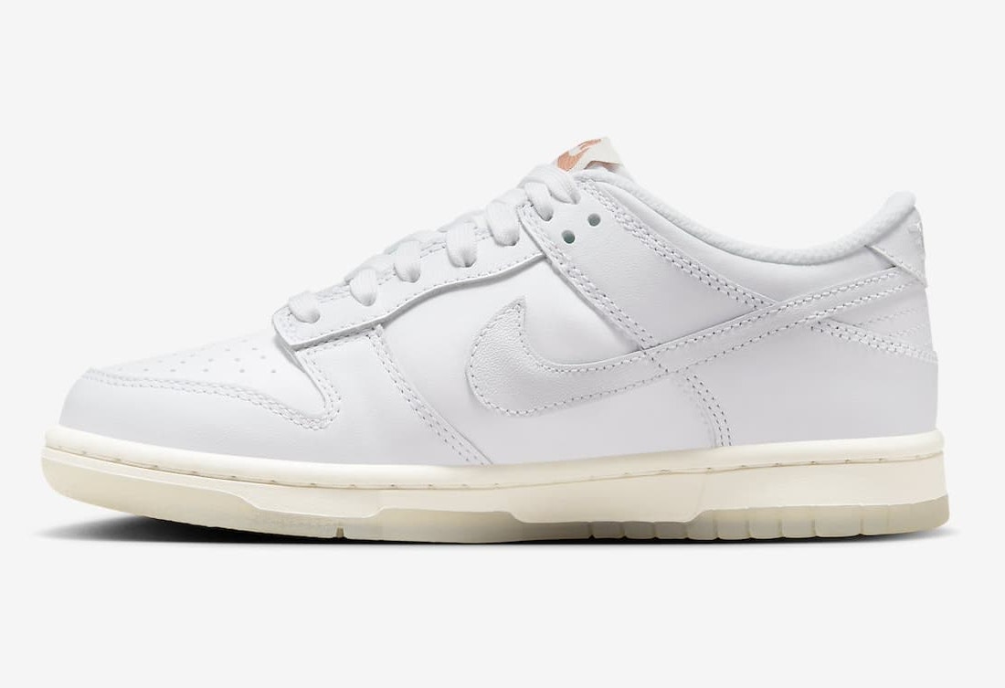 Nike Dunk Low GS "Rainbow Swoosh"