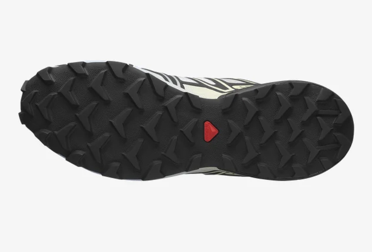 Salomon Speedcross 3 "Chromatic"