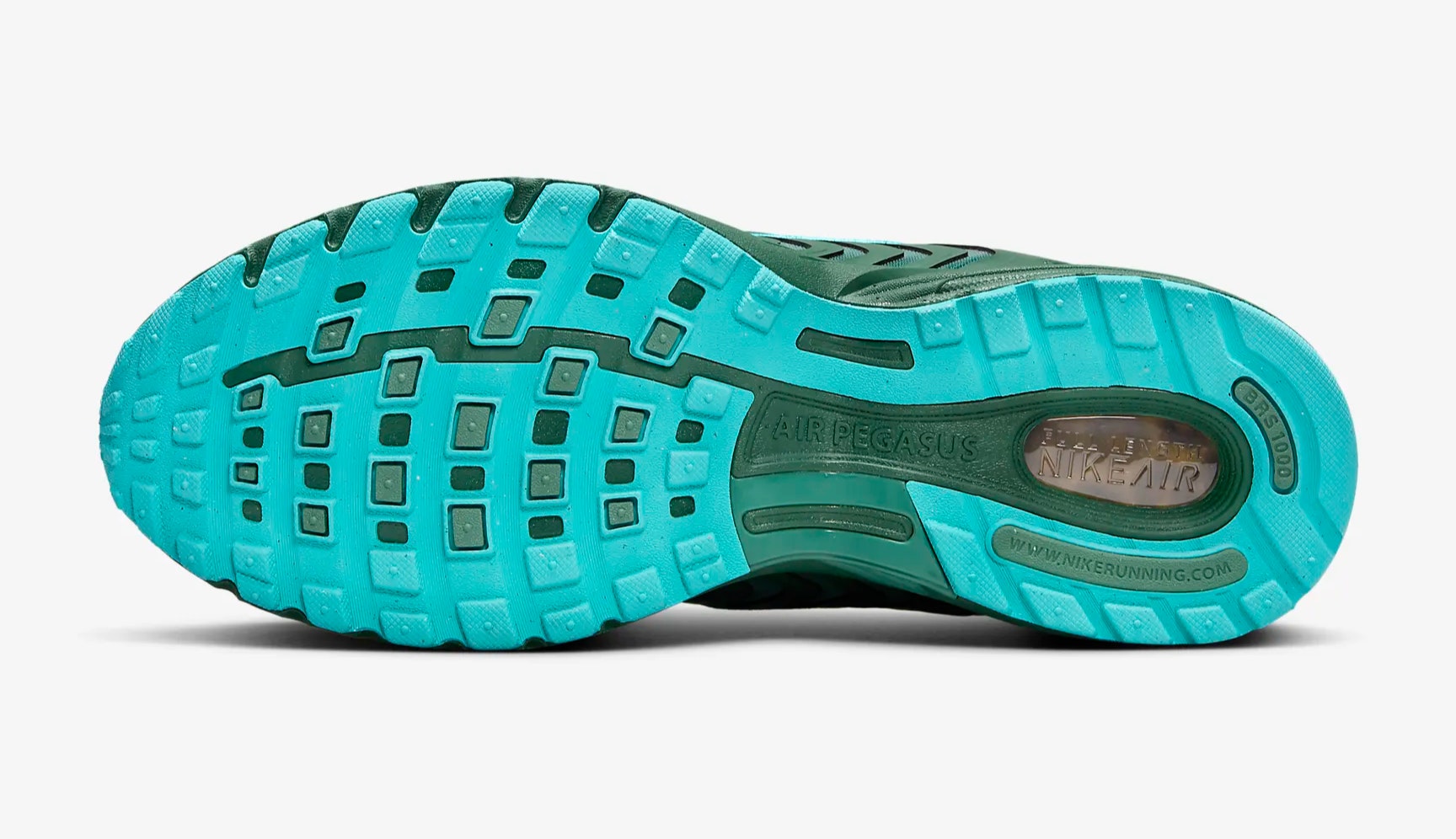 Nike Air Pegasus 2K5 "Biocoastal"