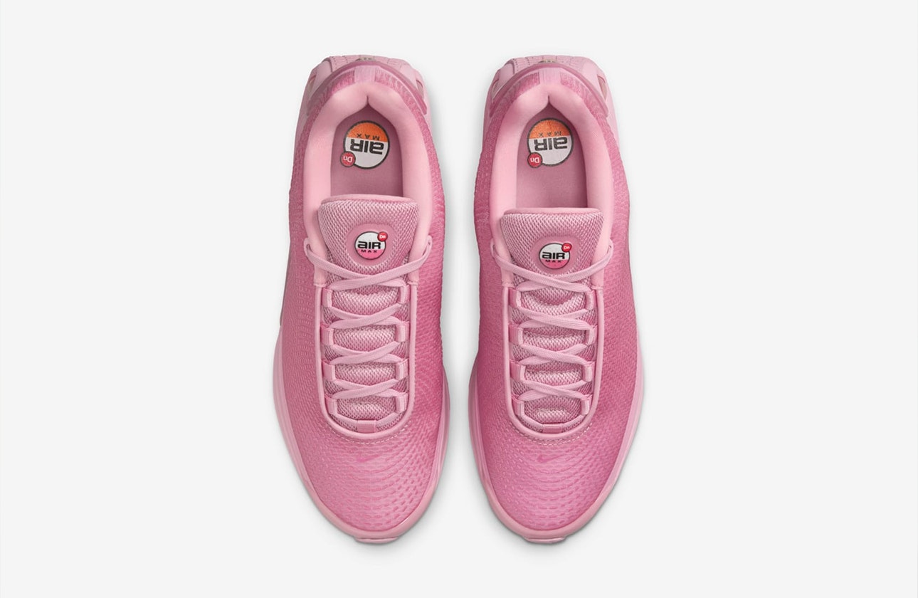 Nike Air Max DN "Elemental Pink"