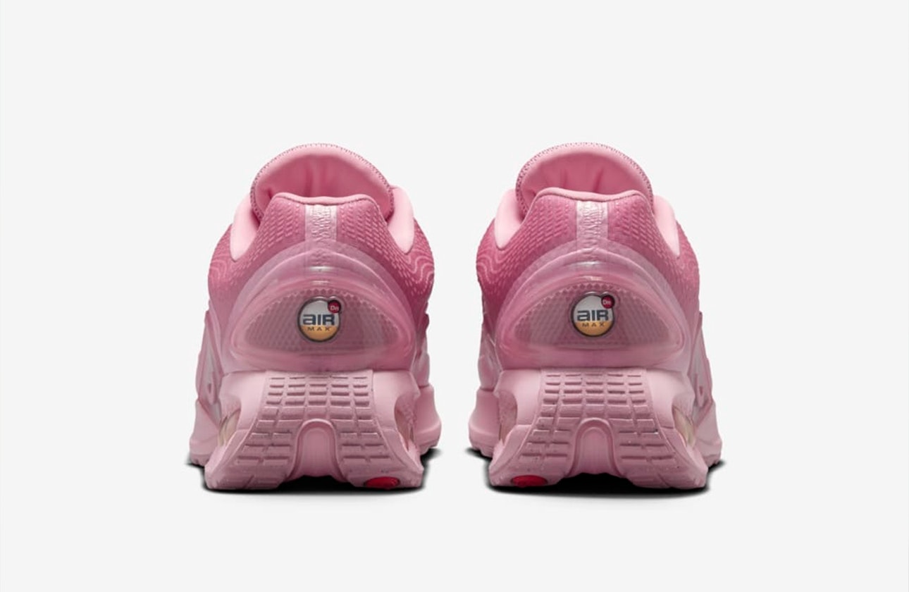 Nike Air Max DN "Elemental Pink"