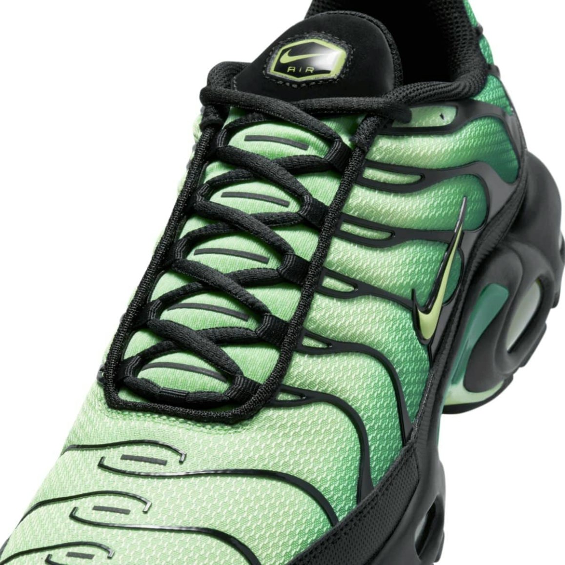 Nike Air Max Plus "Green Gradient"