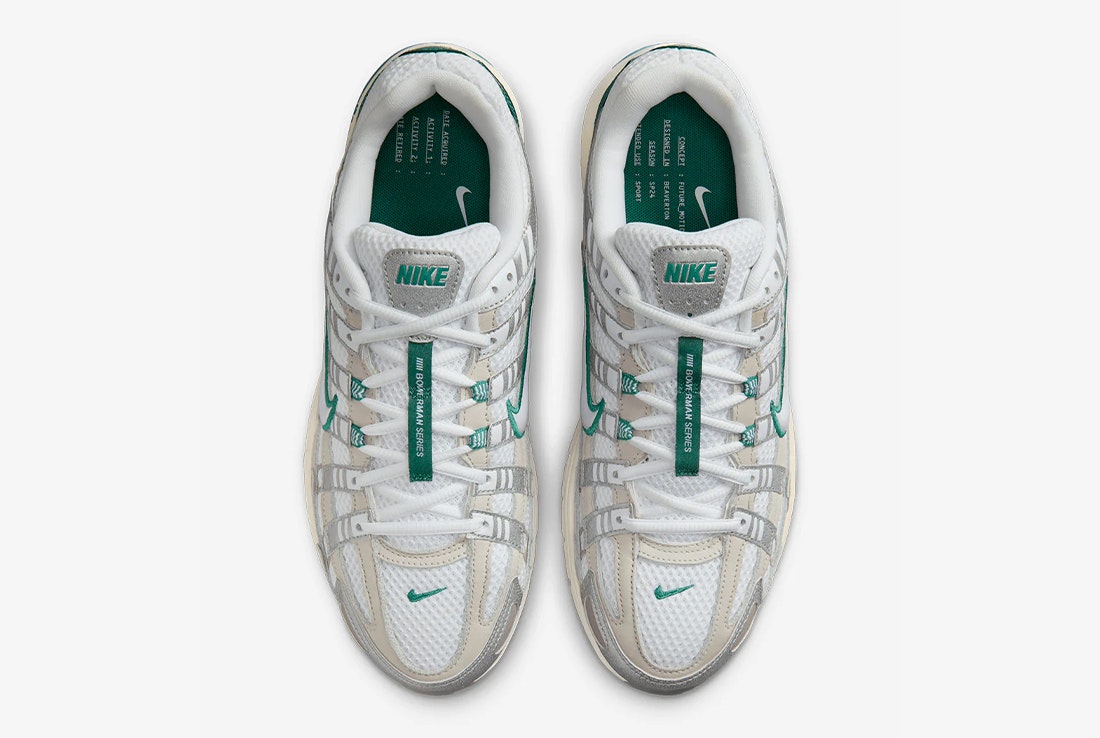 Nike P-6000 "Bicoastal"