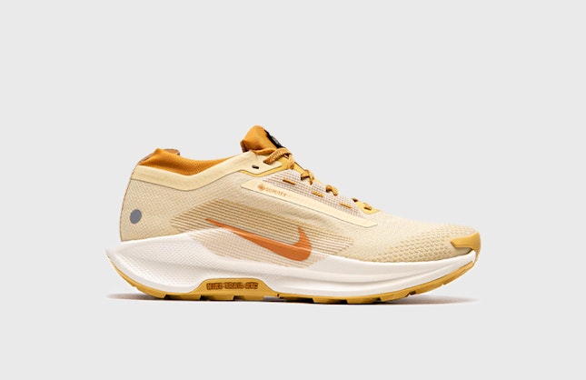 Nike Pegasus Trail 5 Gore-Tex "Desert Ochre"