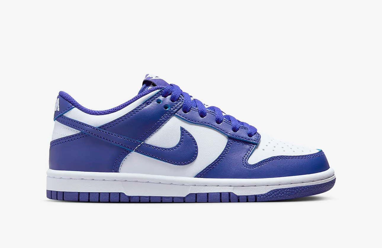 Nike Dunk Low GS "Concord"