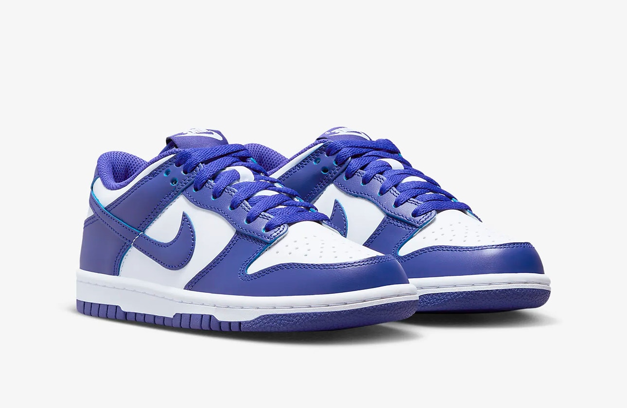 Nike Dunk Low GS "Concord"