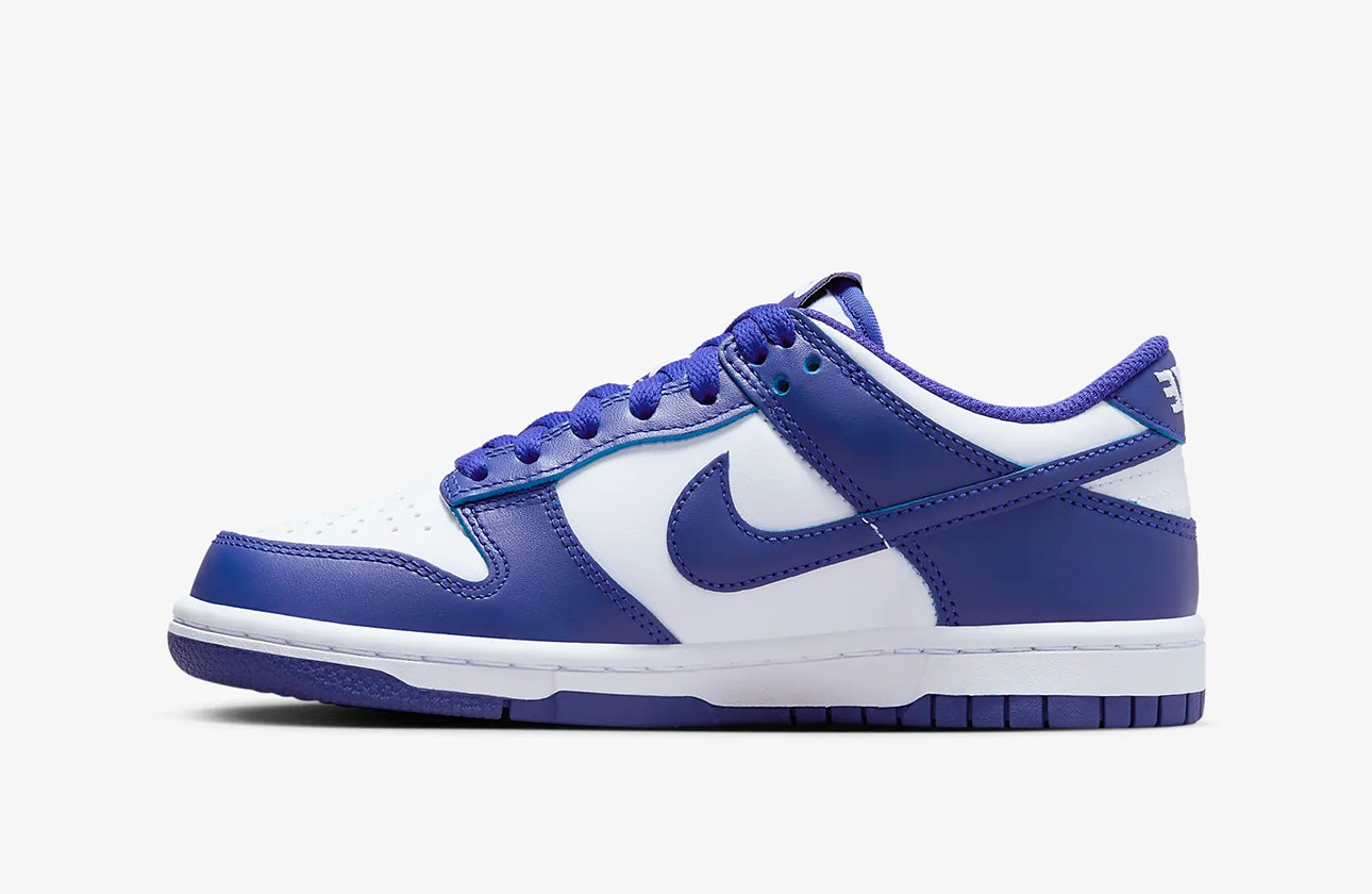 Nike Dunk Low GS "Concord"