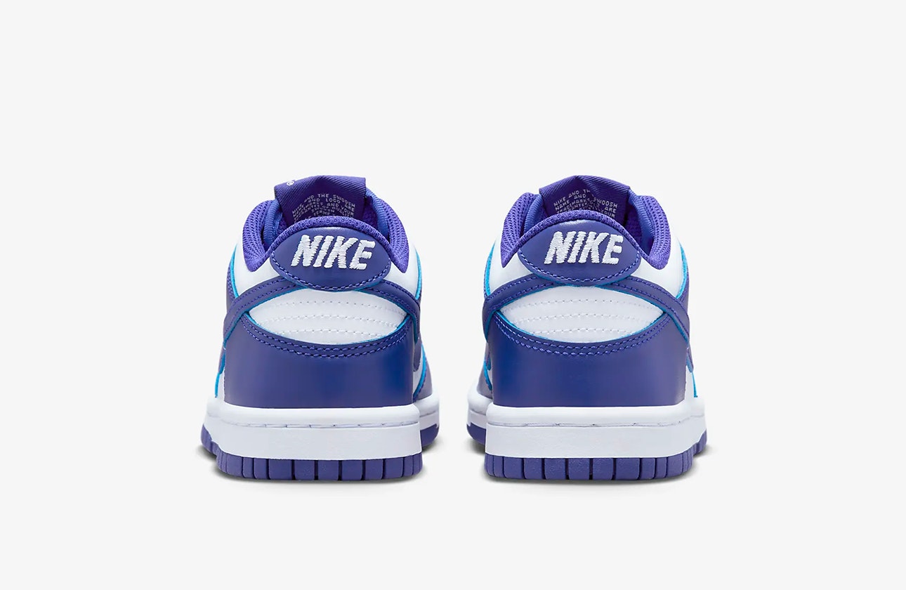Nike Dunk Low GS "Concord"
