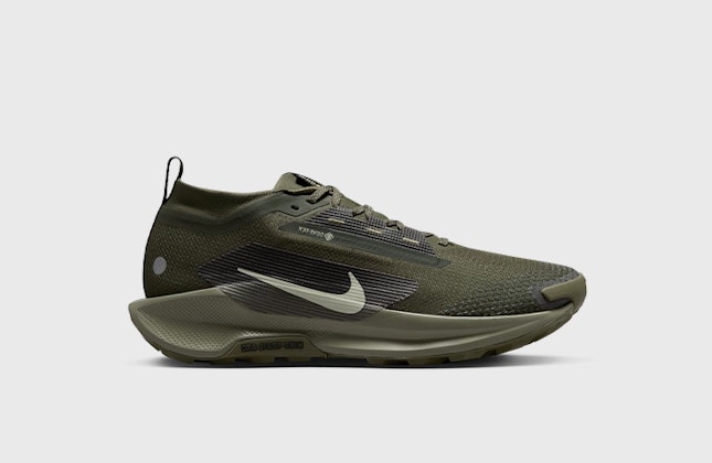 Nike Pegasus Trail 5 Gore-Tex "Sequoia" Nike Pegasus Trail 5 Gore-Tex "Sequoia"