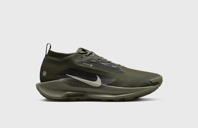 Nike Pegasus Trail 5 Gore-Tex "Sequoia"