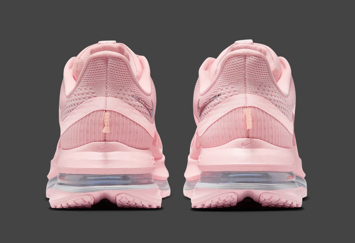 Nike Pegasus Premium "Atmosphere"