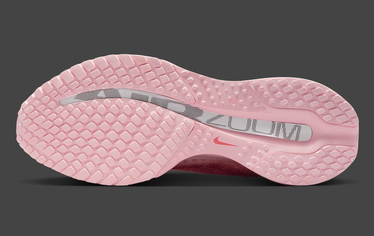 Nike Pegasus Premium "Atmosphere"
