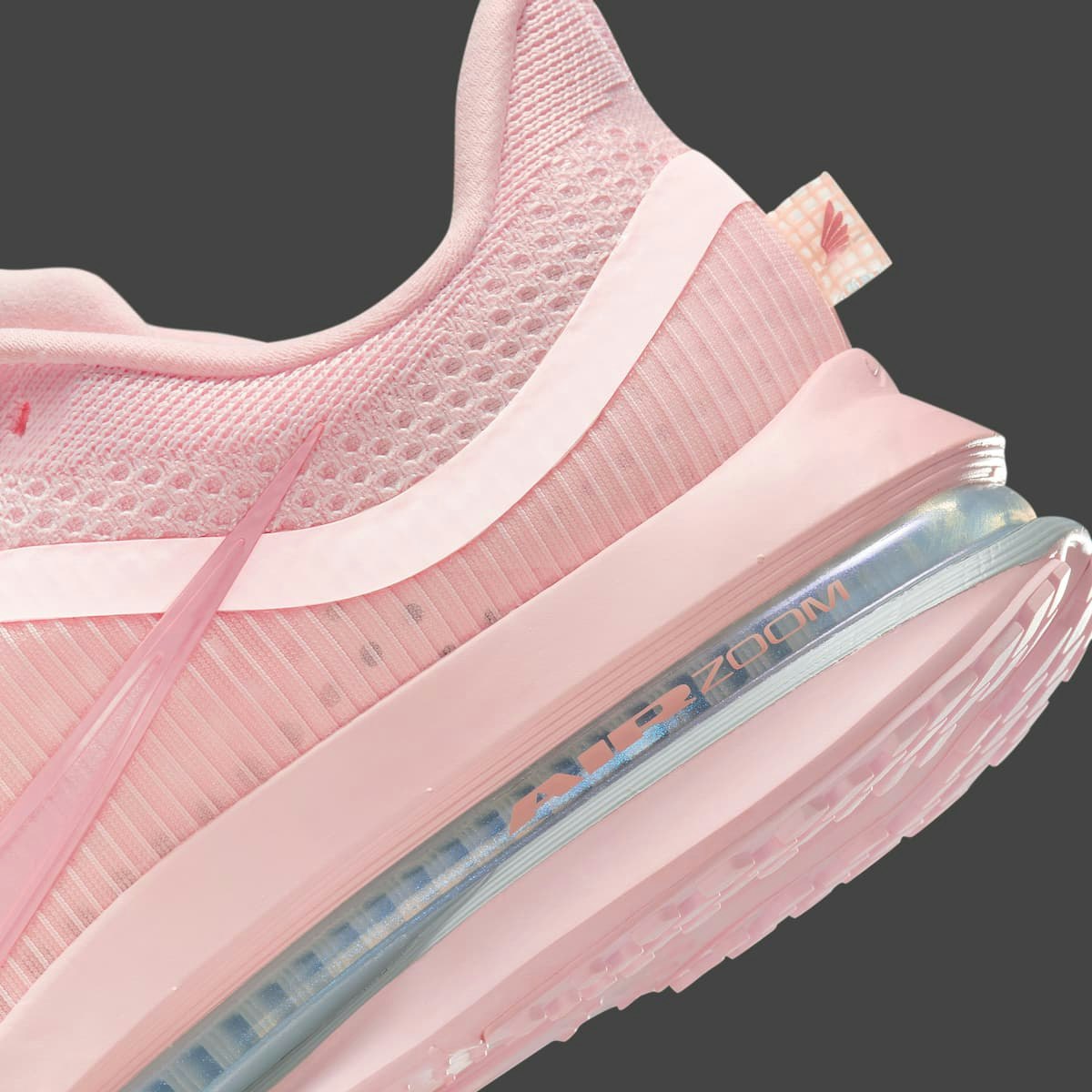 Nike Pegasus Premium "Atmosphere"
