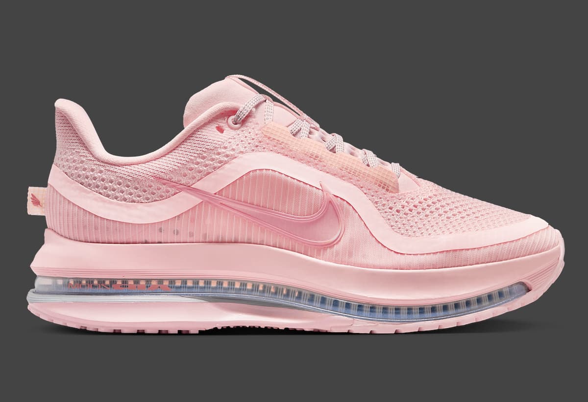 Nike Pegasus Premium "Atmosphere"