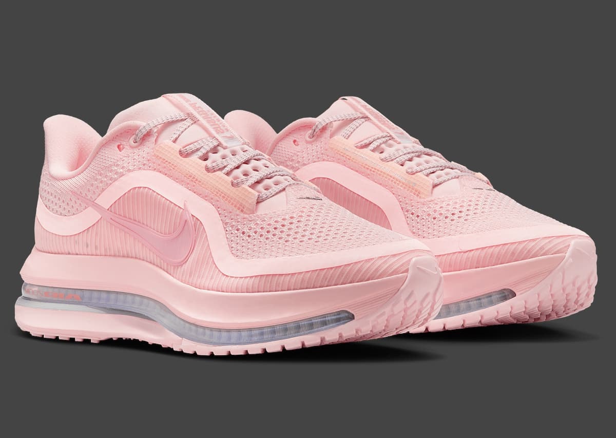 Nike Pegasus Premium "Atmosphere"