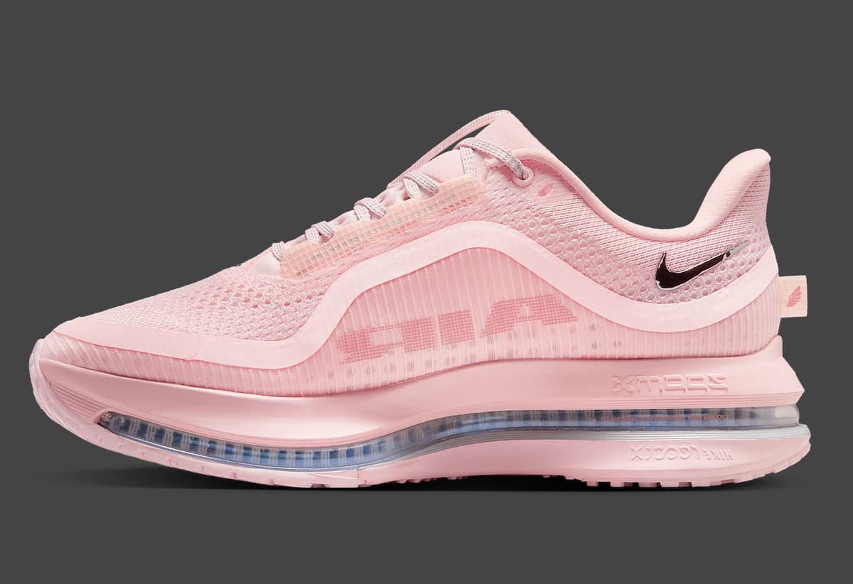 Nike Pegasus Premium "Atmosphere"