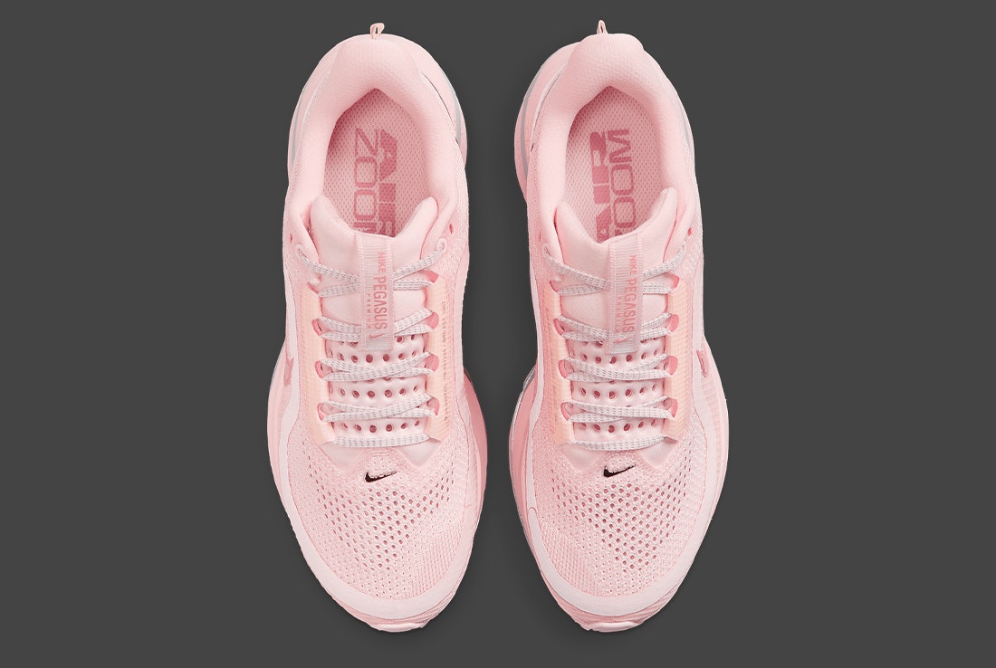 Nike Pegasus Premium "Atmosphere"