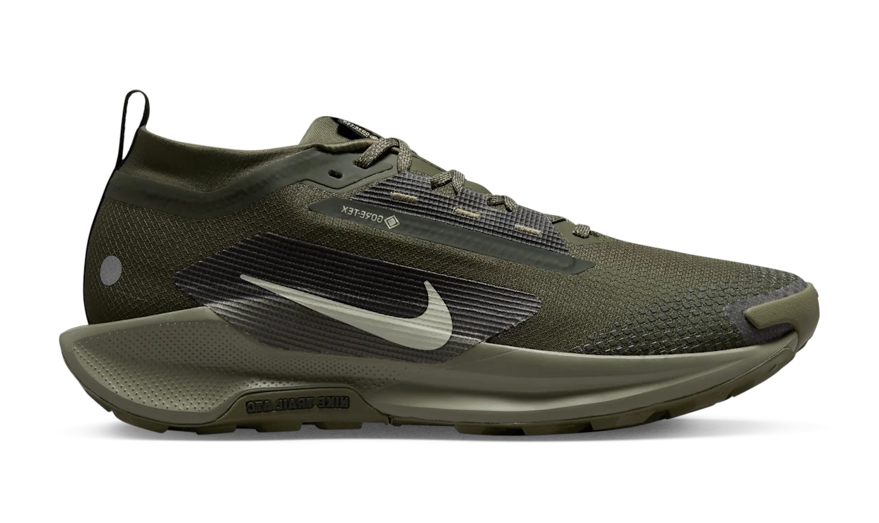 Nike Pegasus Trail 5 Gore-Tex "Sequoia"