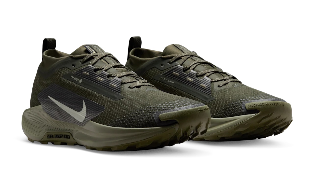 Nike Pegasus Trail 5 Gore-Tex "Sequoia"